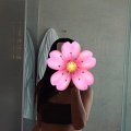 nude girls, sexy girls, erotic photos, naked boobs